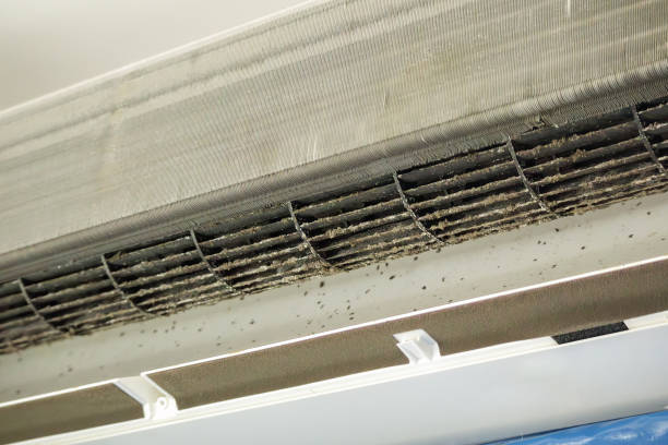  South Bradenton, FL Airduct Cleaning Pros